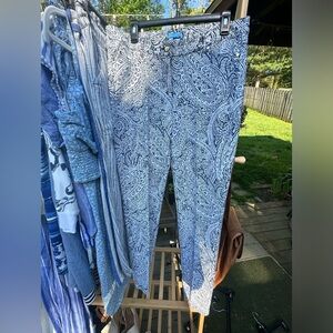 Size 12 J McLaughlin Pants